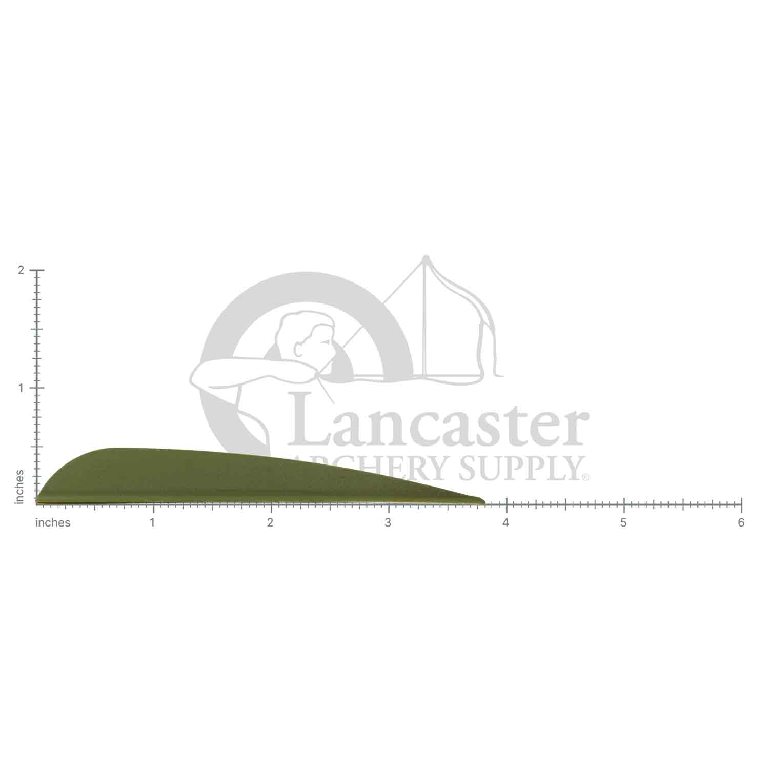 AAE Elite Plastifletch 40 Vanes (50-pk) - Image 2