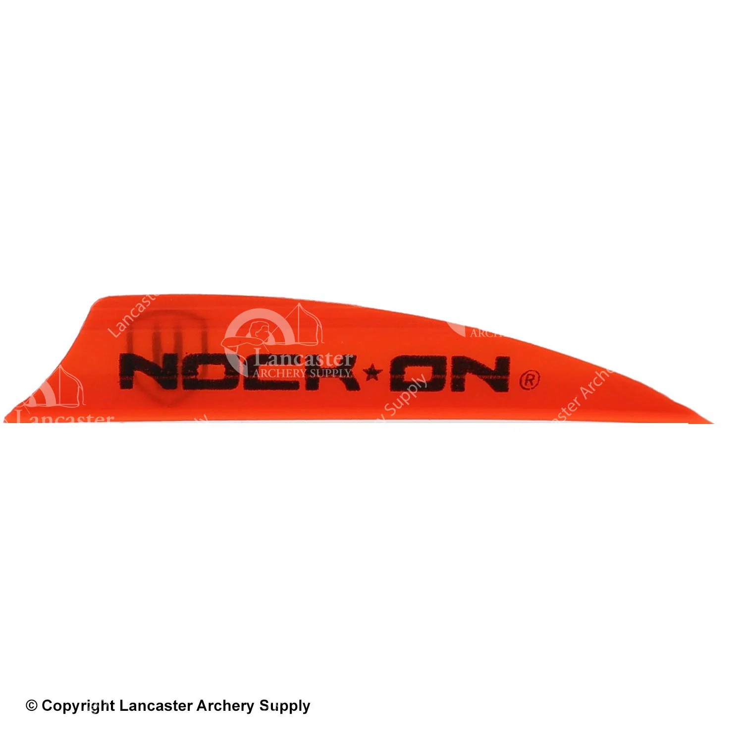 AAE Plastifletch Max PM 2.0 Vanes w/ Nock On Logo - Image 2