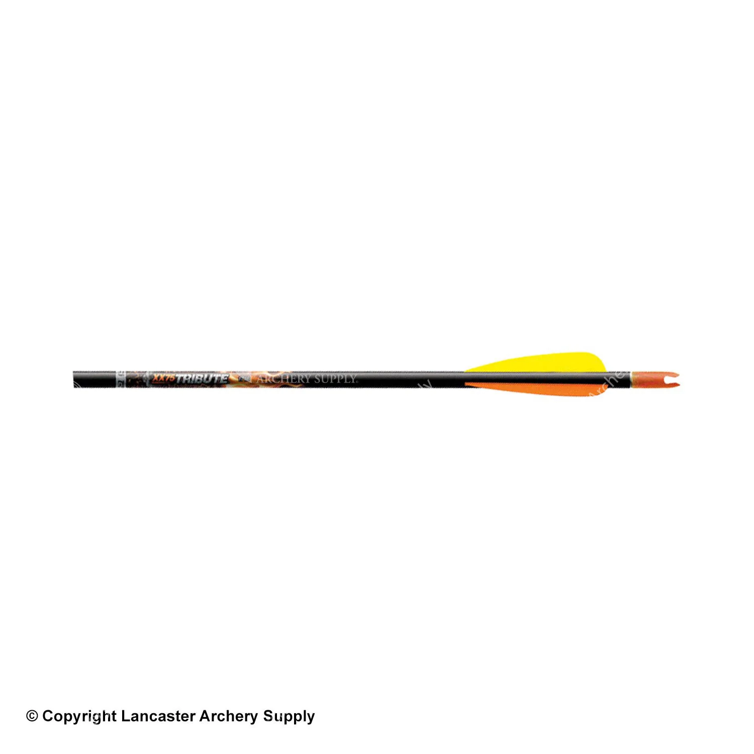 Easton Tribute Fletched Arrow w/ 3" Vanes