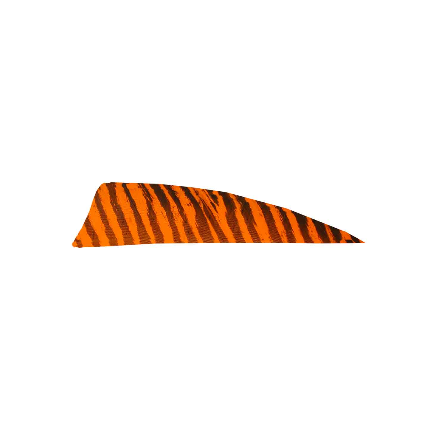 Gateway 3" Shield Barred Feather - Image 5