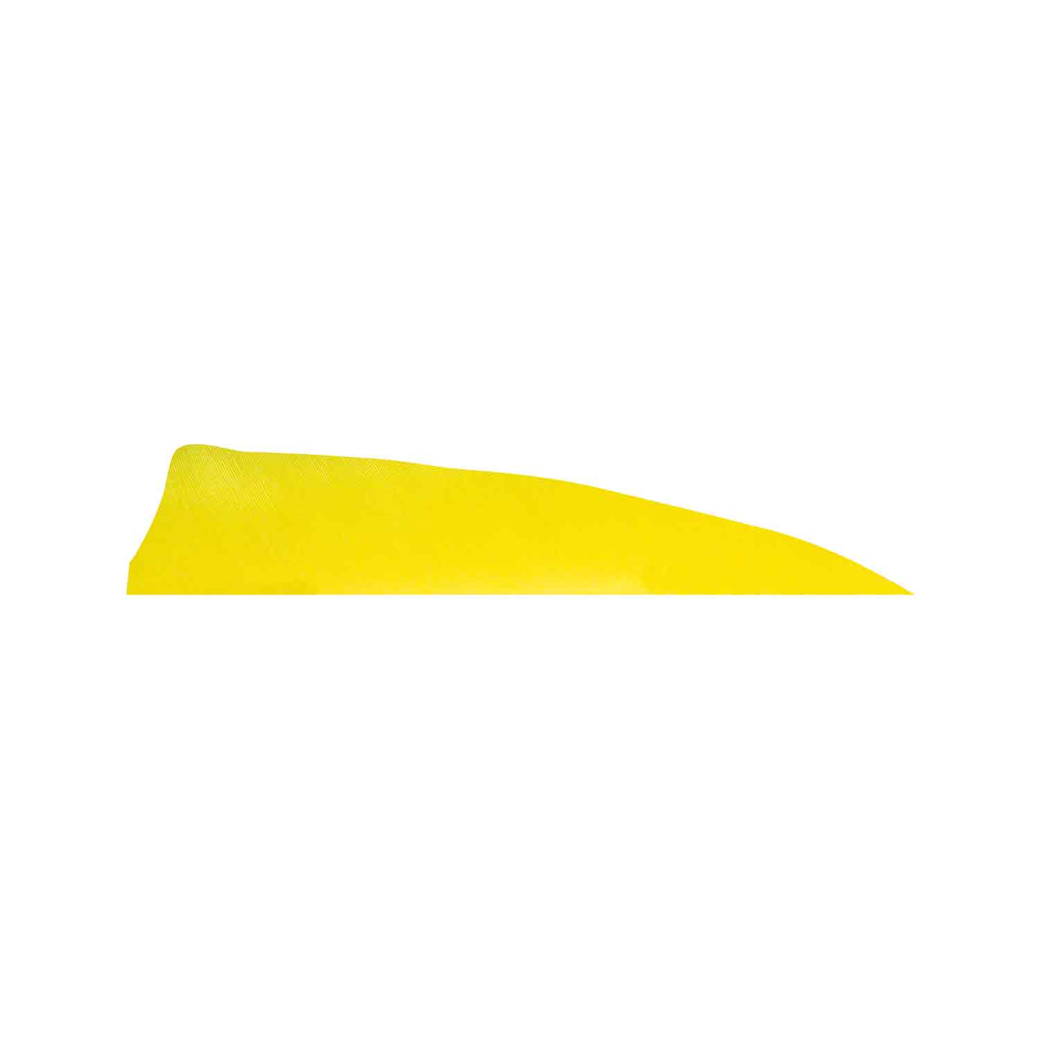 Gateway 5" Shield Feather - Image 5