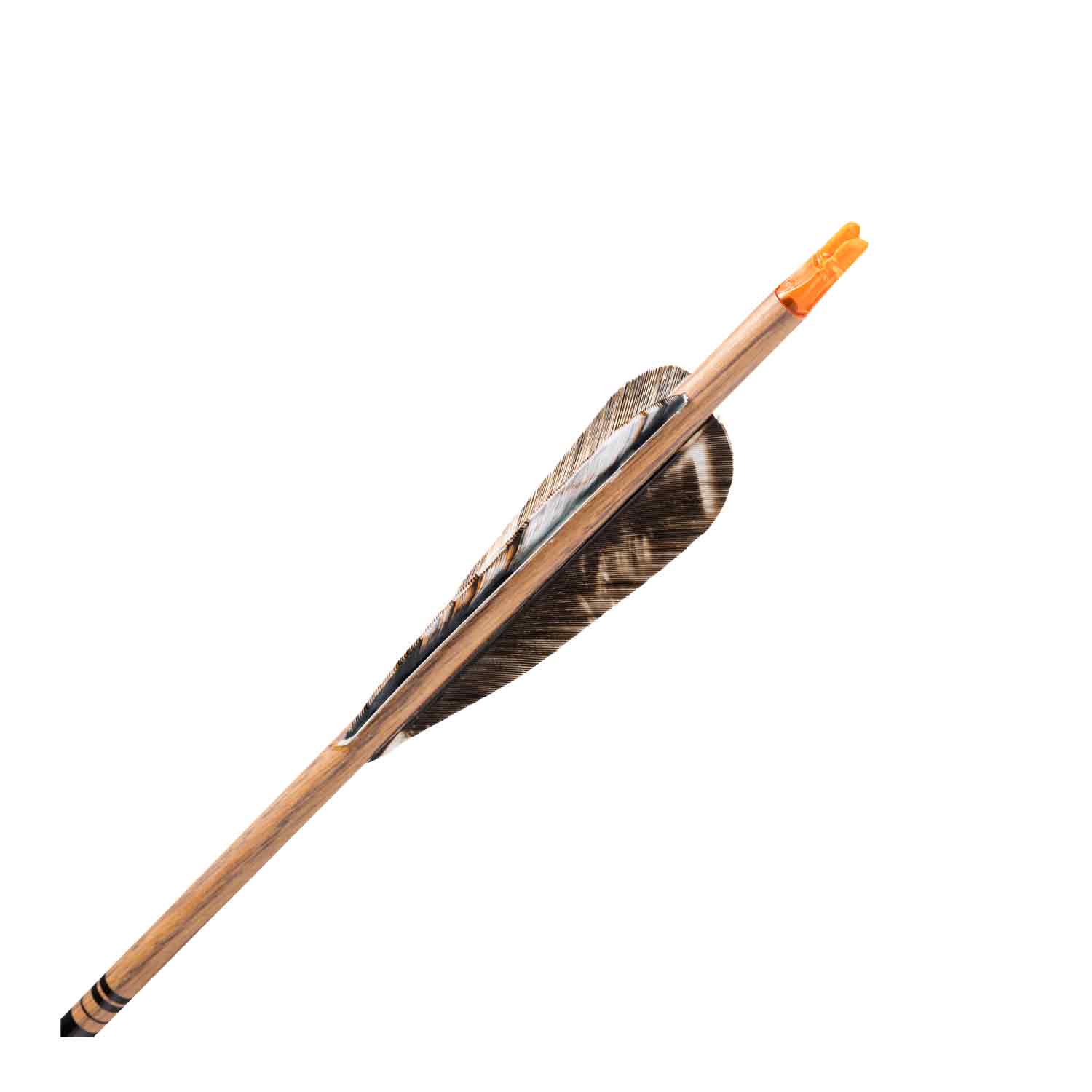 Gold Tip Wood Hunter Fletched Arrows - Image 3