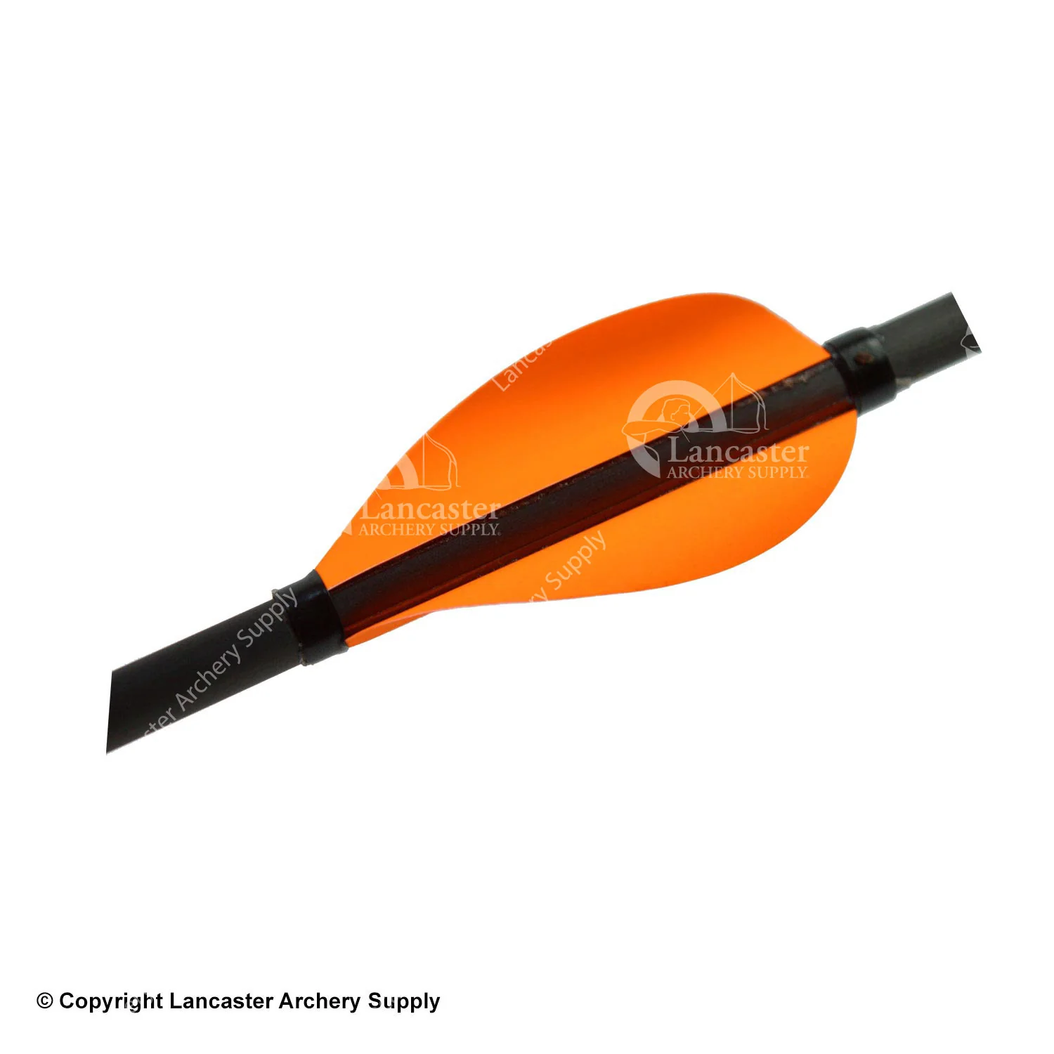 Kurly Vanes - Image 7