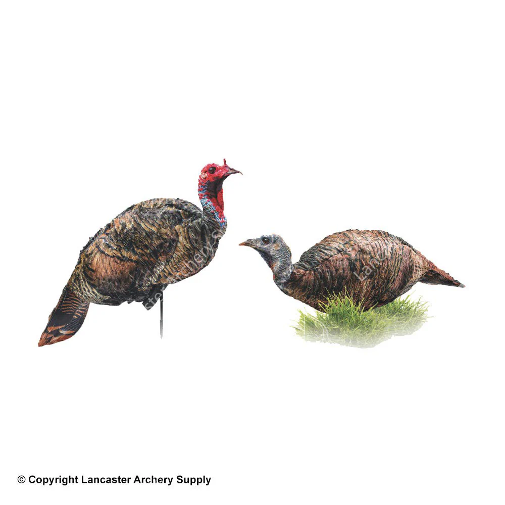 Montana Decoy Purrfect Pair XD Turkey Decoy