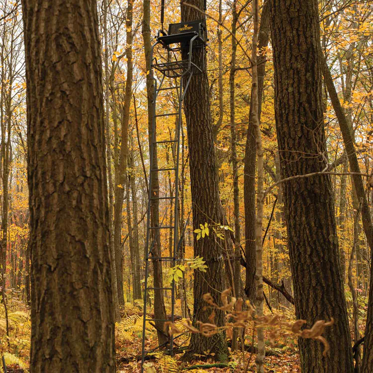 Rivers Edge Big Timber 1.5 Man Ladder Stand - Image 2