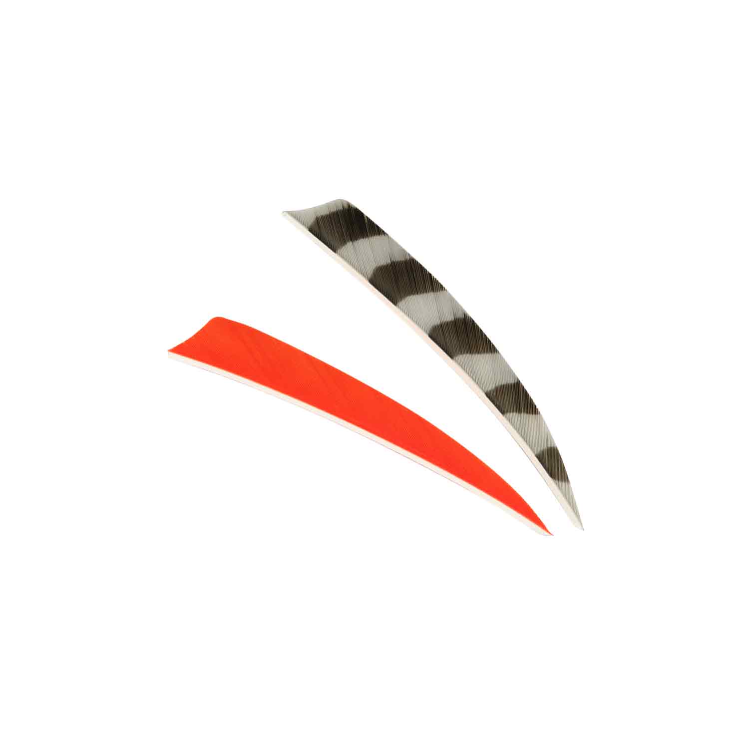 Trueflight 5" Shield Back Feathers (18 Count Combo Pack)