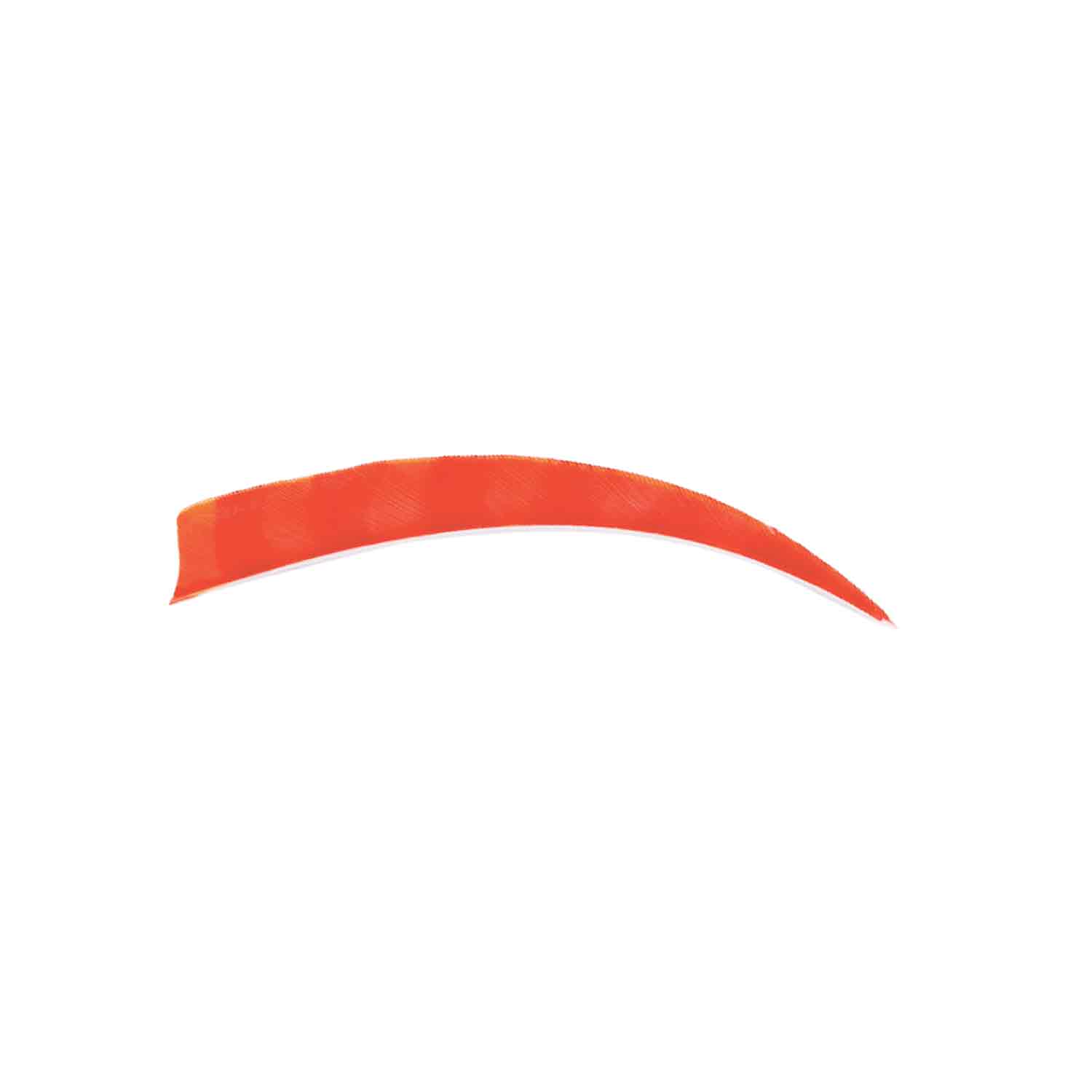 Trueflight Brite Stripes 5" RW & LW Shield Back Feather - Image 12