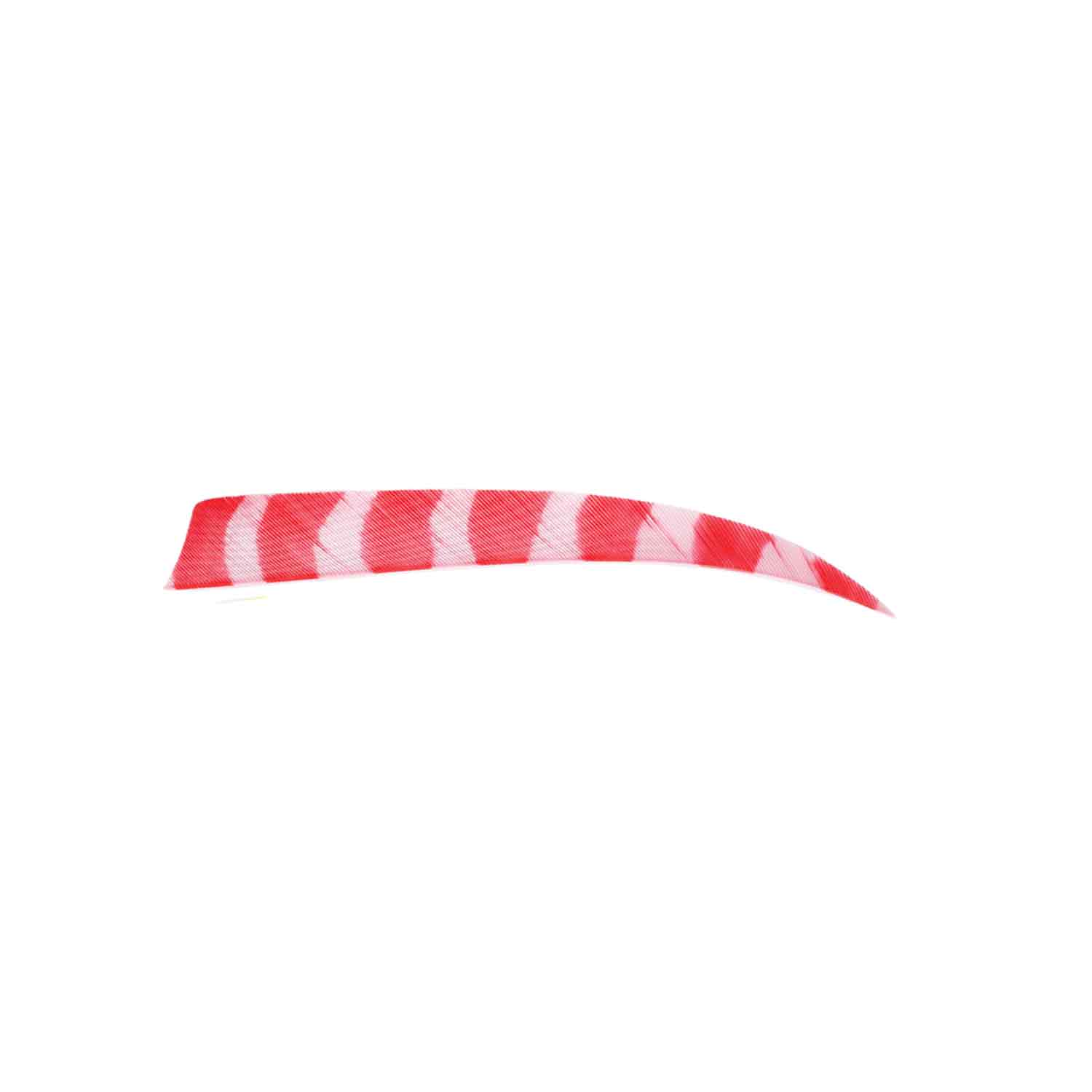 Trueflight Brite Stripes 5" RW & LW Shield Back Feather - Image 8